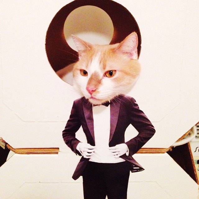 Only in Bushwick: This Cool Cat's Style is Everything
