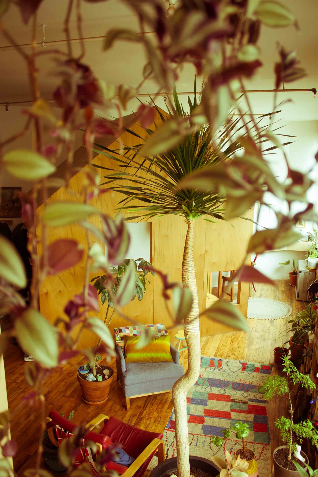 Terri Chiao's loft, where she built a cabin and a treehouse. All photos by Renee Ligtvoet.