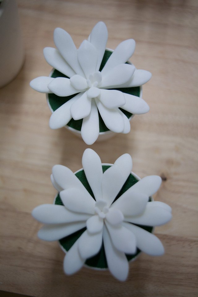 'Crassulas' by Arielle Falk on view at Auxiliary Projects. (all photos by Katarina Hybenova for Bushwick Daily)
