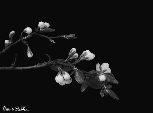 Art in Full Bloom: 7 Openings and Events For The Weekend