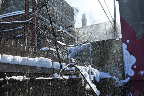 Bushwick: the Beautiful Snow Town (Photos)