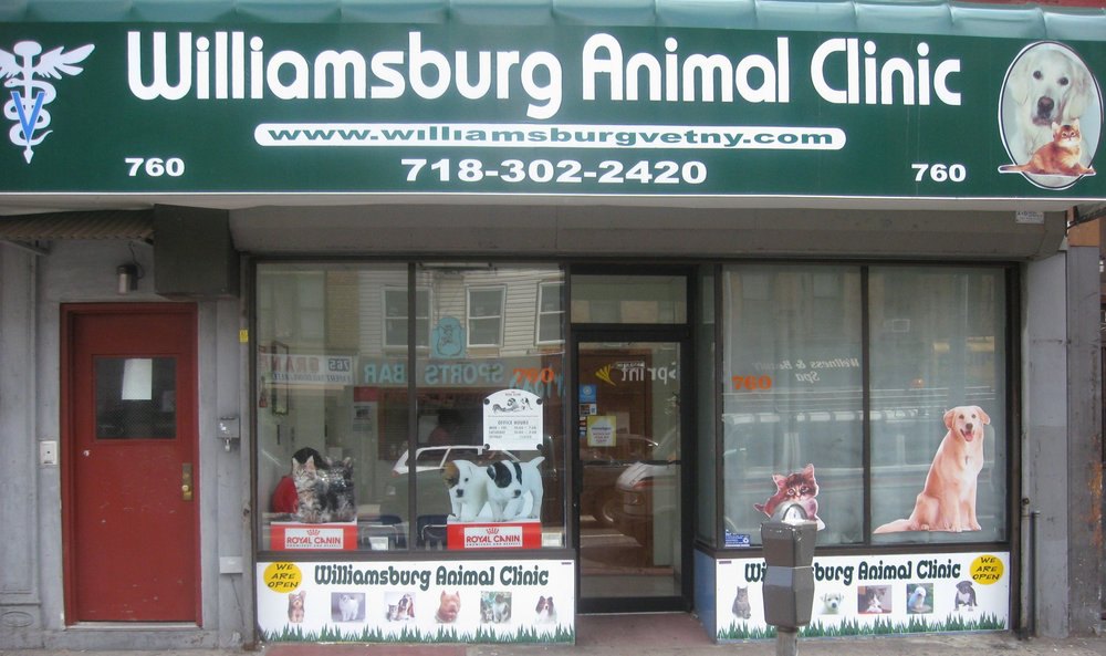 williamsburg animal clinic