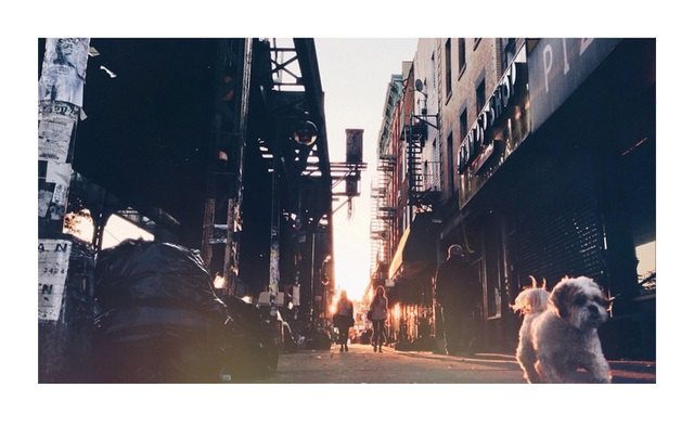 Photo via @BushwickDaily Instagram by Gino Fortebuono