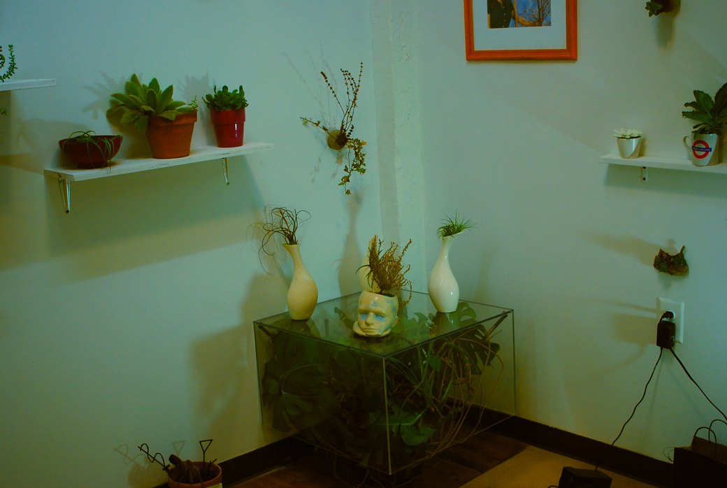 Sheldon Yuan's "Living Coffee Table," photo by Cheyenne Sophia