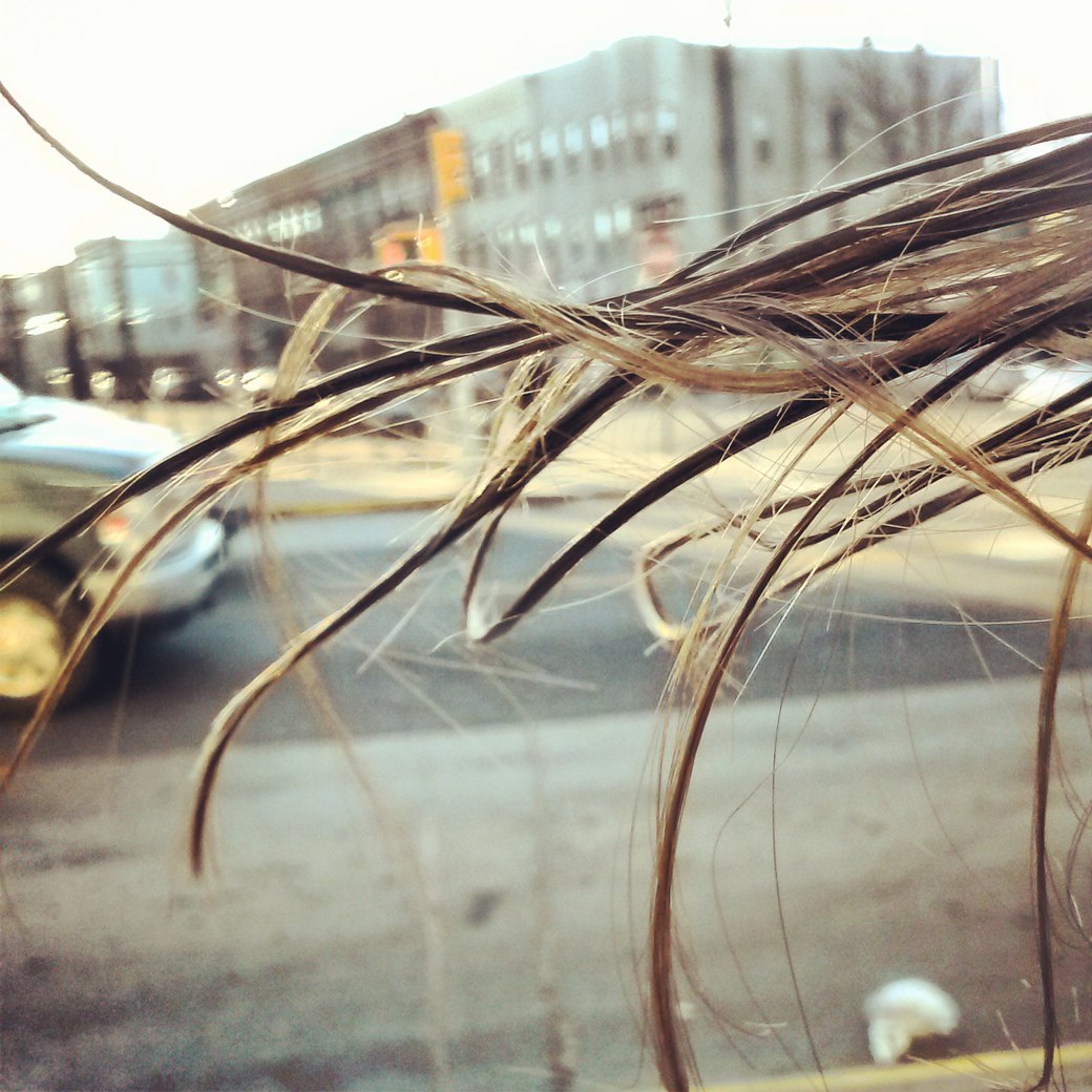 Yep, that's my hair literally frozen on Flushing Ave. Photo from my Instagram page.