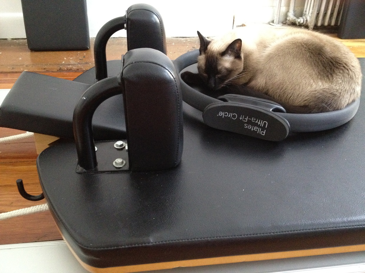 The Ritualist: Ritual to Receive: Time to Process