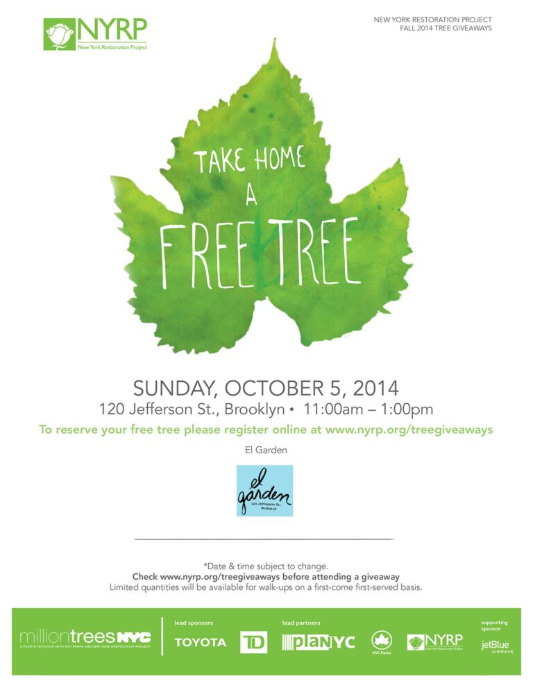 Get a Free Tree for Your Front/Backyard in Bushwick This Sunday!