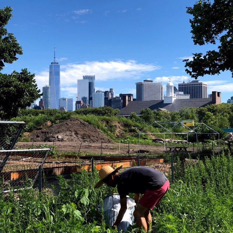 Local Sustainability Platform Gains Recognition Abroad and Makes Living Green Easy for All