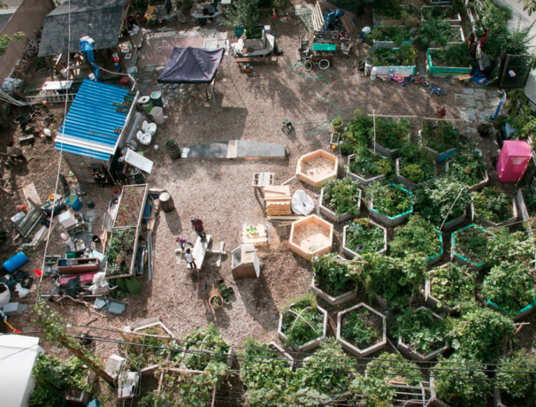 Friday Fun Facts: Can You Put Your Green Thumb to Work This Weekend in Bushwick?