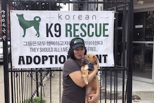Local Dog Rescue Looks To End Korean Dog Meat Trade