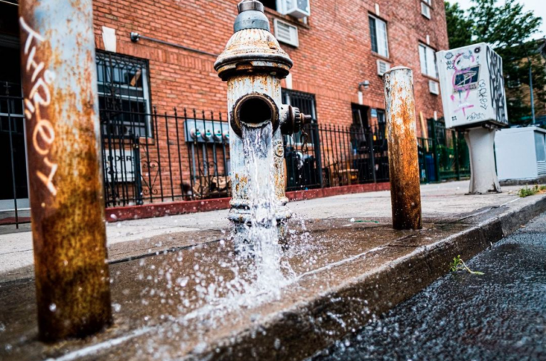 Events Happening This Week (August 19-25) In Bushwick