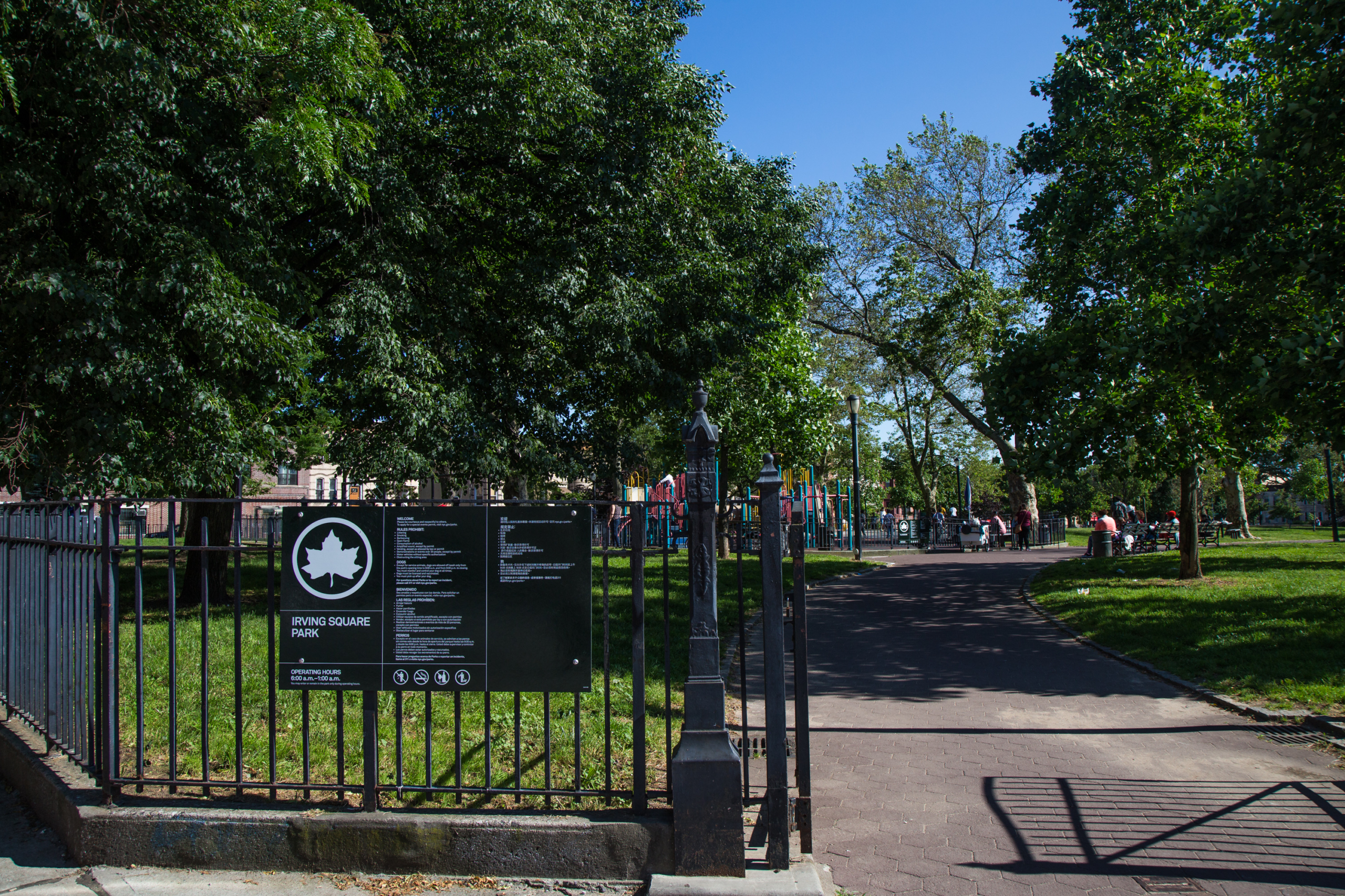 So You Want to Volunteer? Here Is a List of Bushwick Organizations That Need Your Help