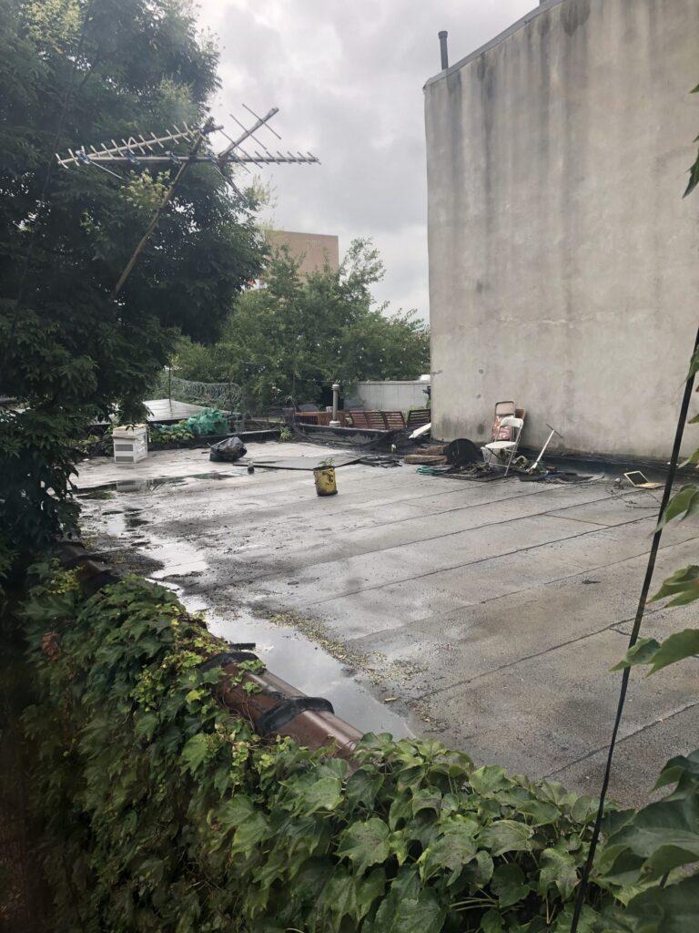 In Aftermath of Hurricane Ida and City’s First-Ever ‘Flash Flood Emergency,’ Water Leak Complaints to 311 Increased Significantly in Bushwick