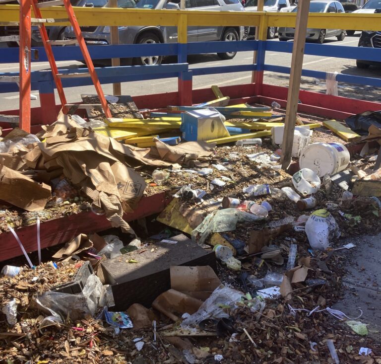 How Do We Prevent Flooding and Damage in Bushwick Like What Happened During Ida?