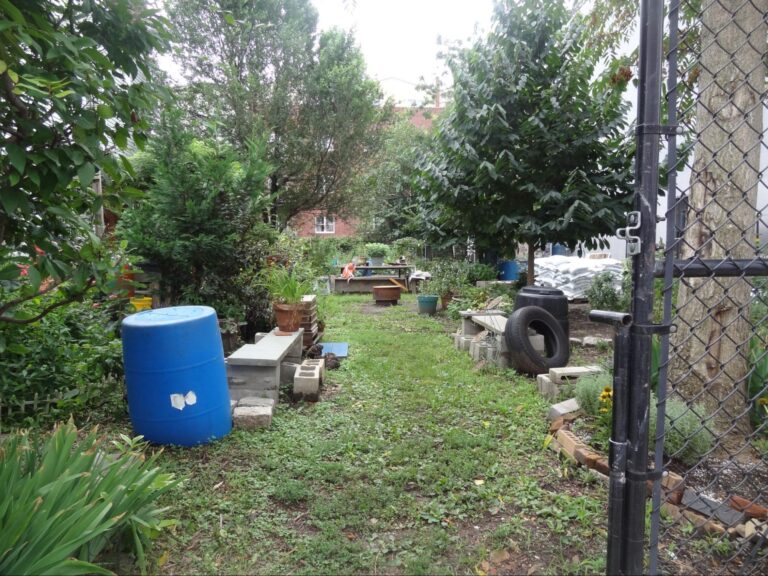 Community Gardens Are Reopening, and They Need Dedicated Volunteers