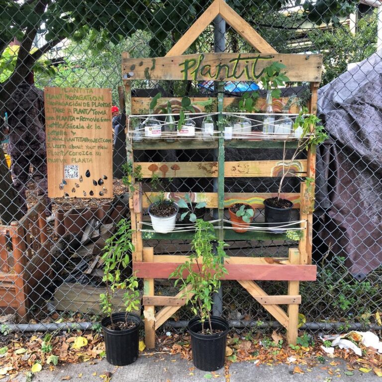 Introducing Plantita: Like a Little Free Library, but for Plants