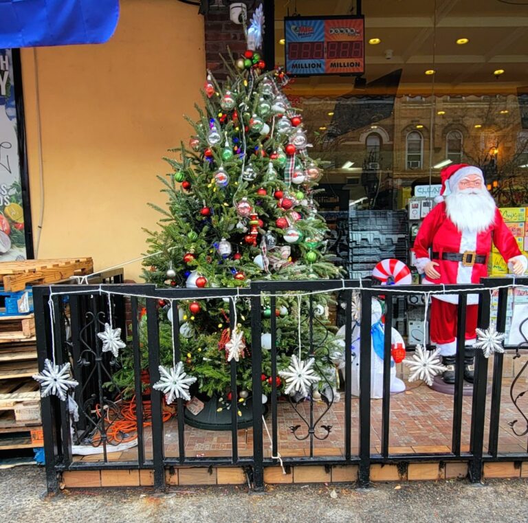 New York City’s Annual Holiday Tradition, Mulchfest, Is Back Again. Read Where You Can Recycle Your Holiday Tree in Bushwick