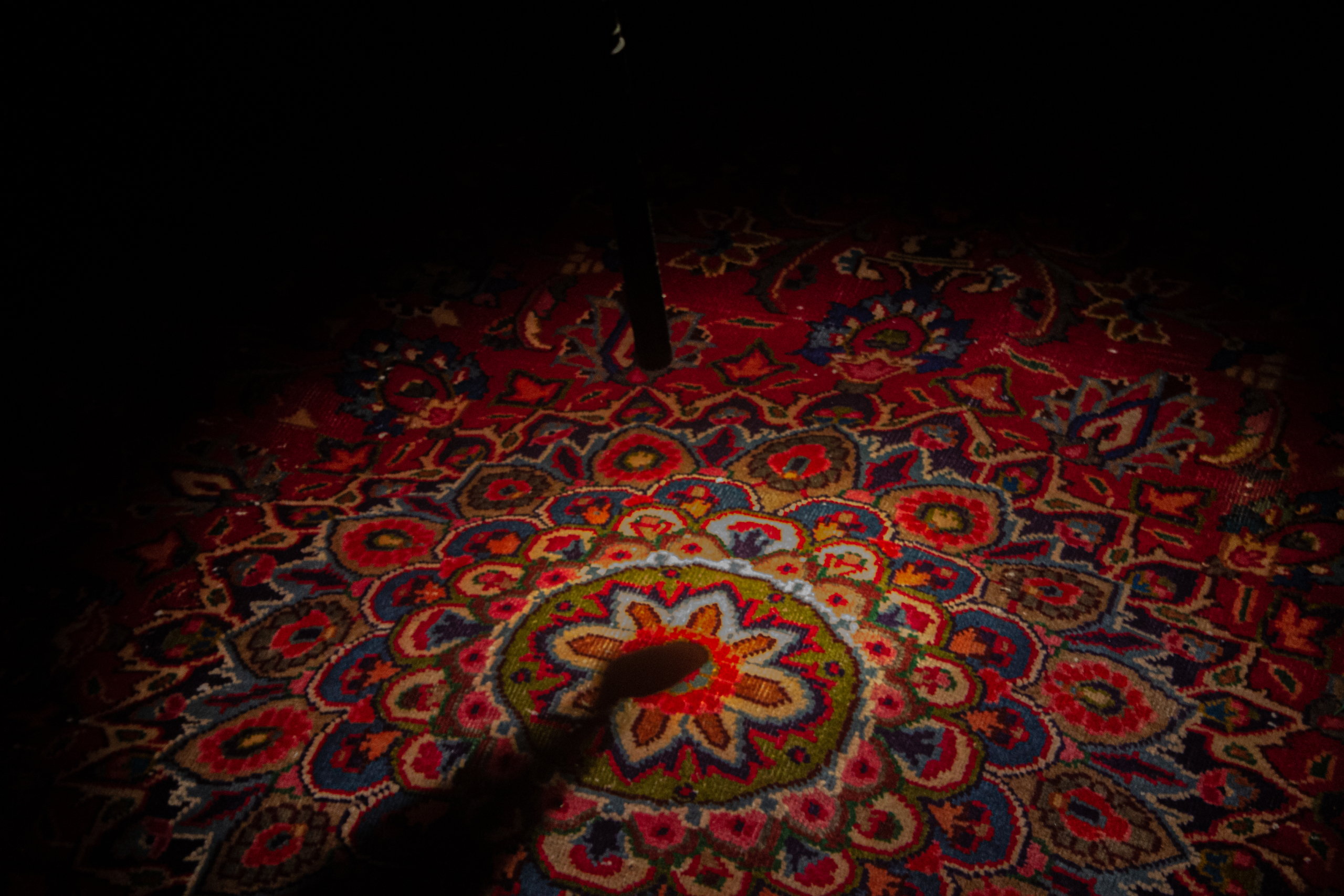 Review: Sholeh Asgary Keeps The Rug Up
