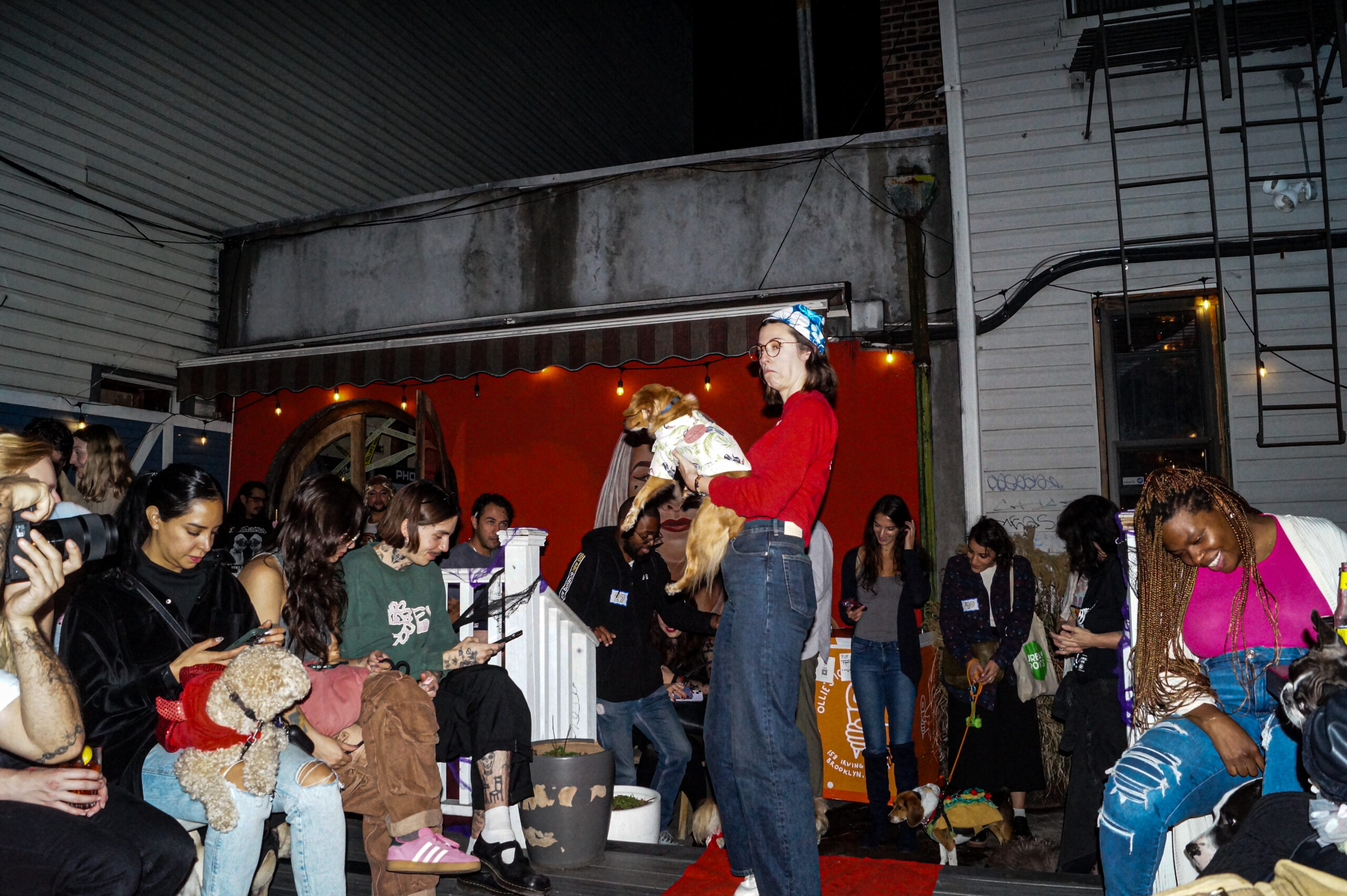 Photos: Halloween Is For The Dogs