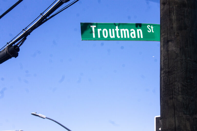 Bushwick Bradshaw: Getting ‘Rescued’ From A Sex Dungeon On Troutman Street