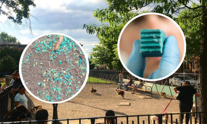 Exposed Rat Poison Scattered Near Kids’ Playground at Maria Hernandez Park — Furious Dog Owners Sound Alarm on ‘Reckless’ NYC Parks Department