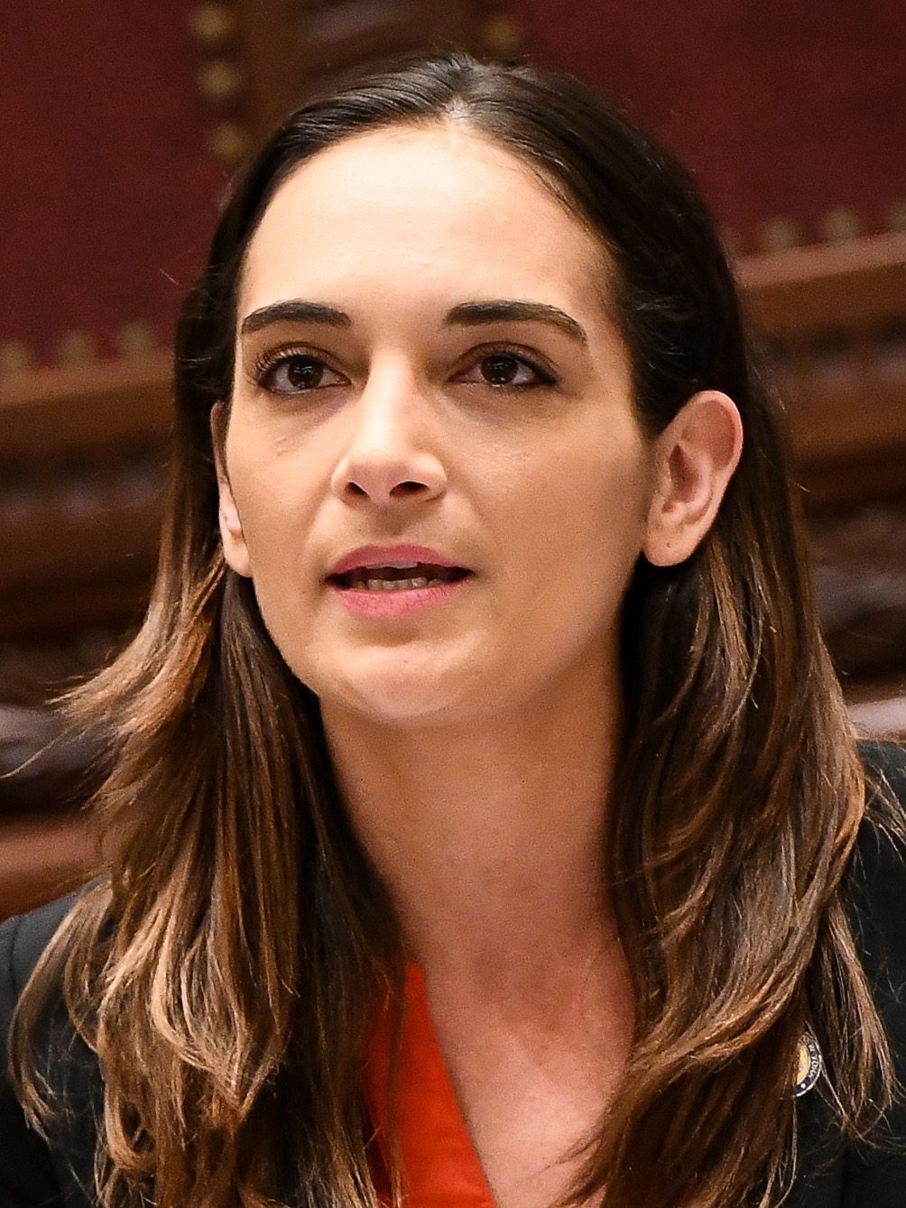 Open New York endorses Salazar and Gounardes for re-election, citing pro-housing records