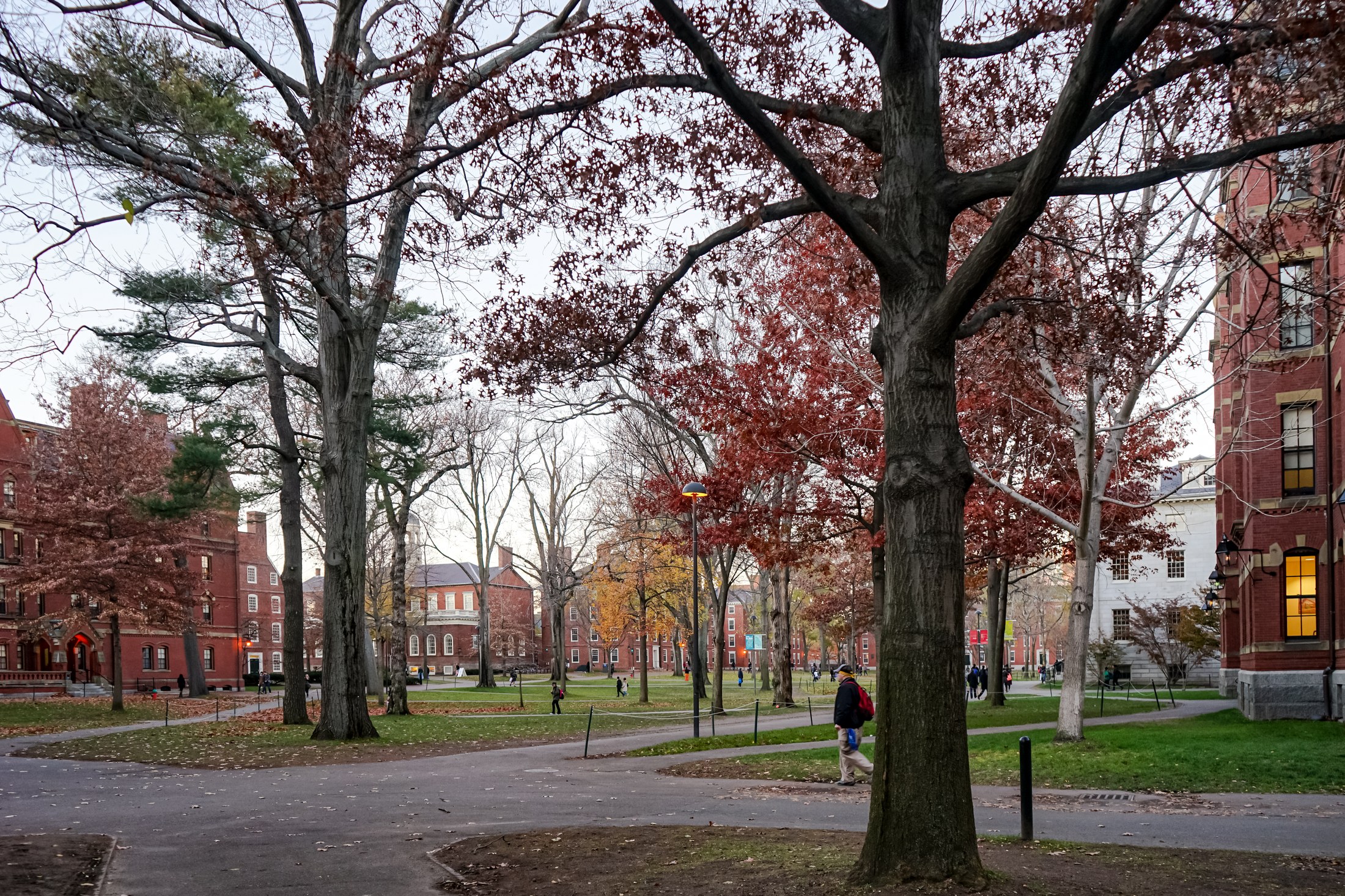 Nieman Lab newsletter raises whether journalism co-ops are utopia or just more work