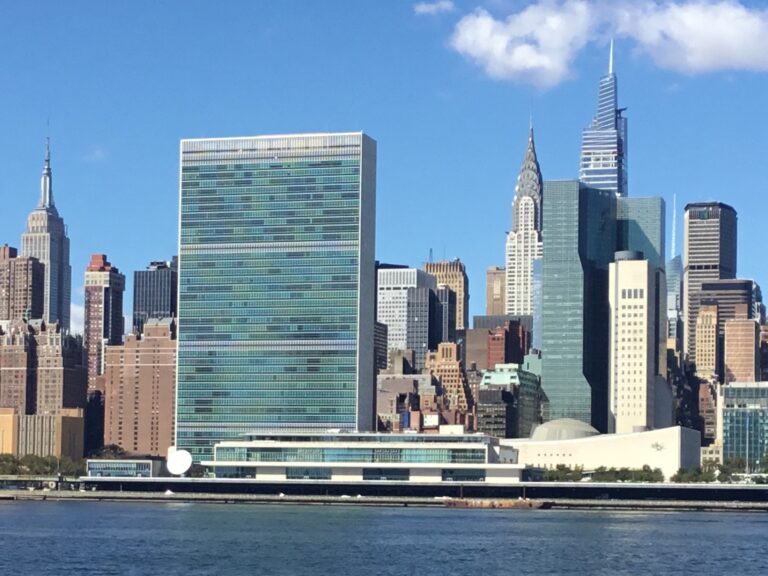 African Union Day Foundation pitches a Museum of Africa exhibition for New York City