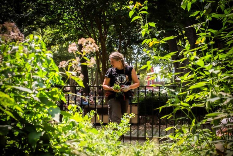 North Brooklyn Parks Alliance convenes nightlife and city leaders on low-waste events