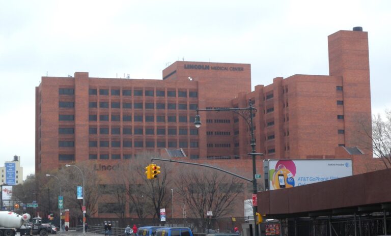 Healthcare unions and electeds rallied at Lincoln Hospital to demand Hochul tax the rich