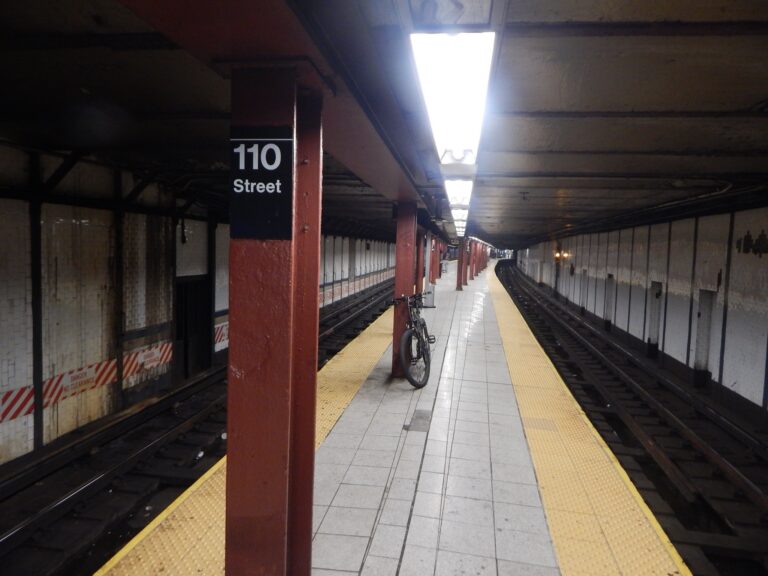 Harlem renamed a subway station for Malcolm X. Brooklyn’s bill for the Utica Avenue stop passed the Assembly 144 to 0, then stalled
