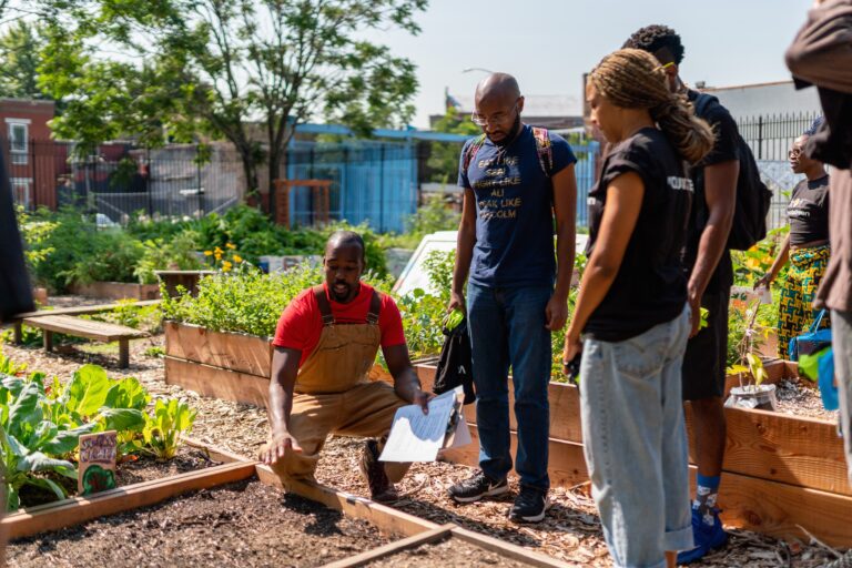 Bushwick City Farm’s owner locked out its volunteers after 15 years, saying he doesn’t want “any headaches”