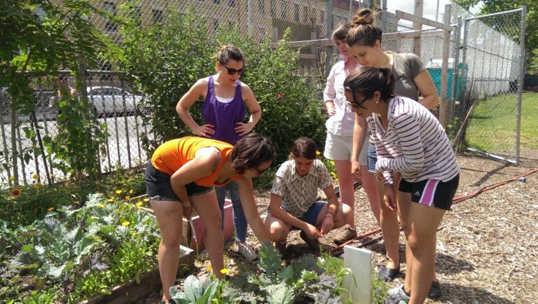 CitizensNYC put Morgan Stanley and Goldman volunteers to work in two community gardens. Wall Street pulled weeds from the East Village to Central Harlem.