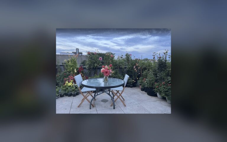 She tends hundreds of plants in a 380-square-foot Williamsburg apartment before her morning commute, and surveys suggest a third of NYC is right there with her