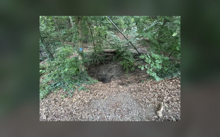 Sinkhole in Riverside Park is expanding into the 87th Street Dog Run