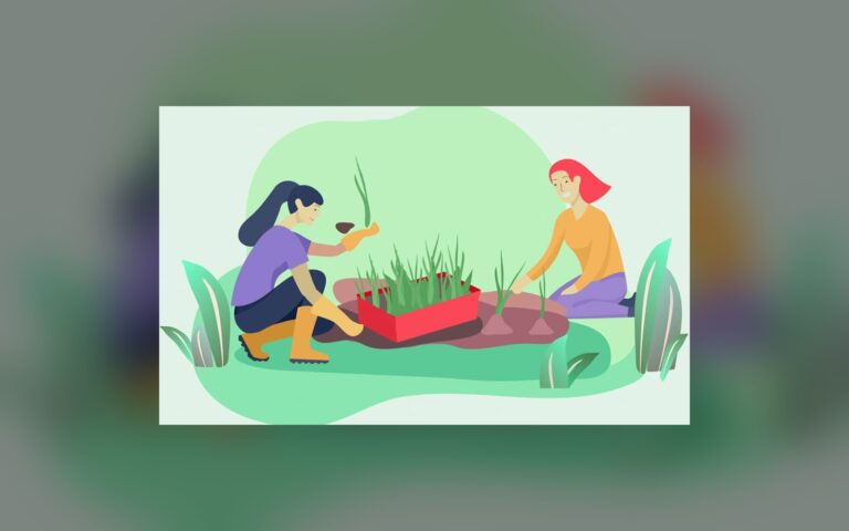 Gen Z turns to urban gardening for mental health and sustainability
